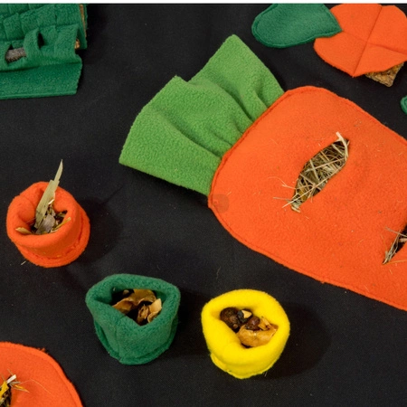 Marchewkowe pole - plac zabaw i mata węchowa 73x53cm dla szczurów