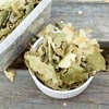 Brzoza (Betula L.) liść 100g / pudełko 1200ml dla szczura