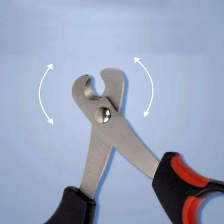 Nożyczki do obcinania pazurków szczura