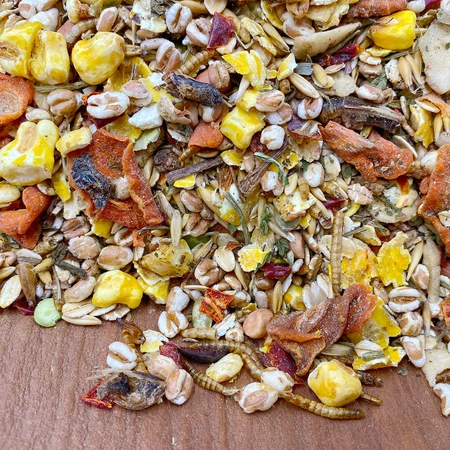 Mixerama Farbratten Päppel-Mischung 500g karma dla dorosłych szczurów starych, chorych lub bezwłosych