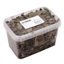 Porzeczka (Ribes rubrum L.) liść 100g / pudełko 1200ml dla szczura
