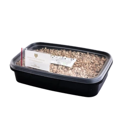 Zestaw Pszenica do wysiania na hydrogranulkach