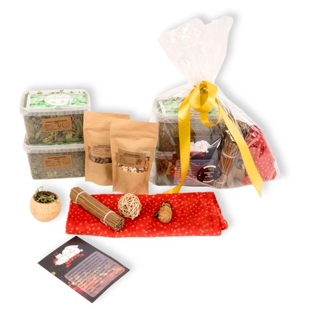 Prezent Świąteczny dla Twoich szczurów 2025