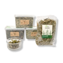 Zestaw wspierający układ moczowy