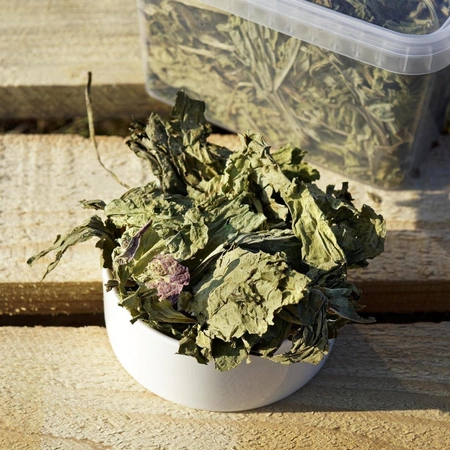 Babka szerokolistna (Plantago major L.) liść 100g / pudełko 1200ml dla szczura