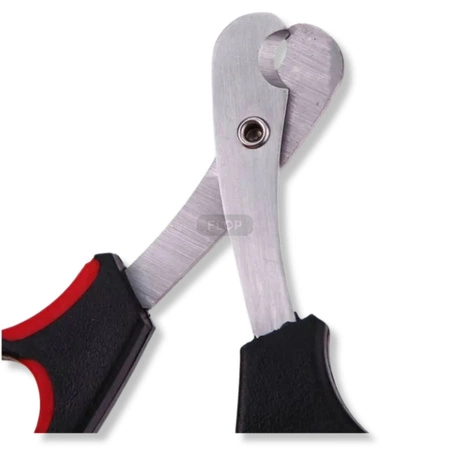 Nożyczki do obcinania pazurków szczura