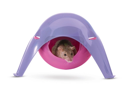 Sputnik XL - plastikowy domek dla szczura podpinany do sufitu klatki