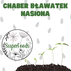 Chaber bławatek - nasiona do domowego wysiewu