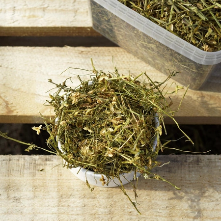 Fiołek trójbarwny (Viola tricolor L.) ziele 100g / pudełko 1200ml dla szczura