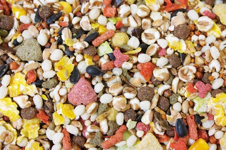 JR FARM Uczta dla szczura 2,5kg