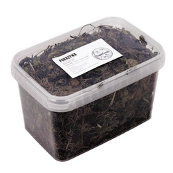 Pokrzywa (Urtica dioica L.) ziele 100g / pudełko 1200ml dla szczura