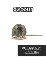 Książeczka zdrowia szczura