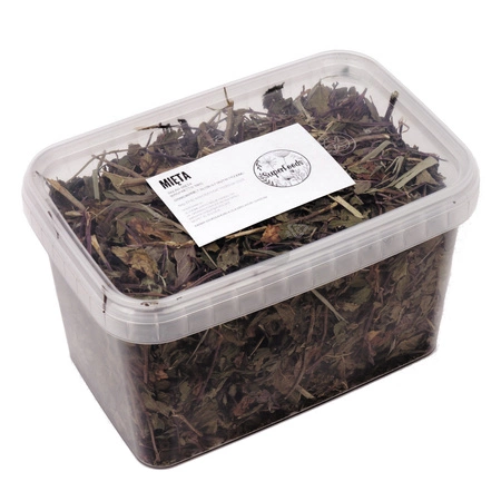 Mięta (Mentha L.) ziele 100g / pudełko 1200ml dla szczura