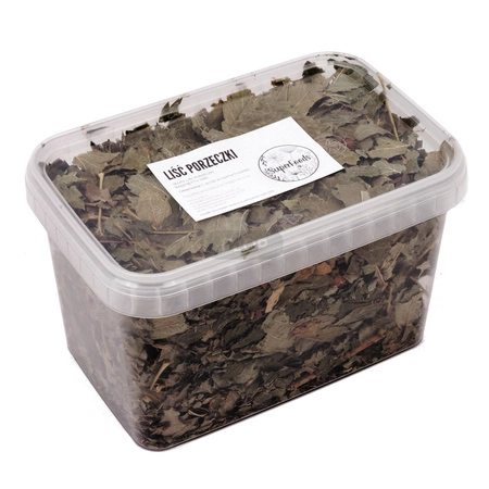 Porzeczka (Ribes rubrum L.) liść 100g / pudełko 1200ml dla szczura