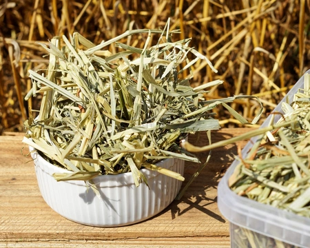 Owies (Avena sativa L.) ziele 100g / pudełko 1200ml