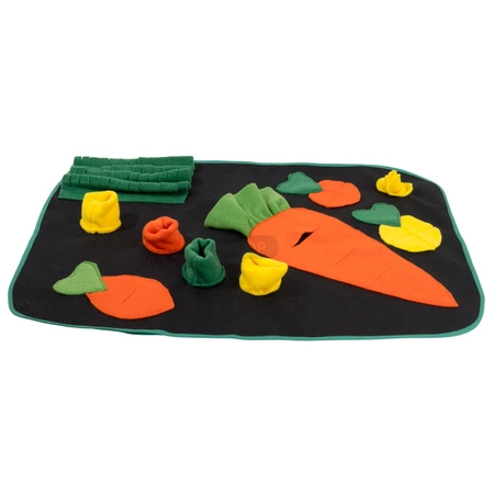 Marchewkowe pole - plac zabaw i mata węchowa 73x53cm dla szczurów