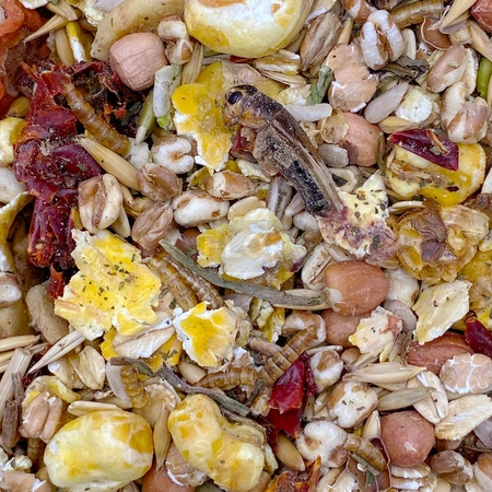 Mixerama Farbratten Päppel-Mischung 500g karma dla dorosłych szczurów starych, chorych lub bezwłosych