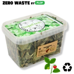 Truskawka (Fragaria ×ananassa L.) liść 100g / Zero Waste pudełko 1200ml dla szczura