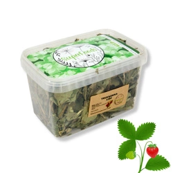 Truskawka (Fragaria ×ananassa L.) liść 100g / pudełko 1200ml dla szczura