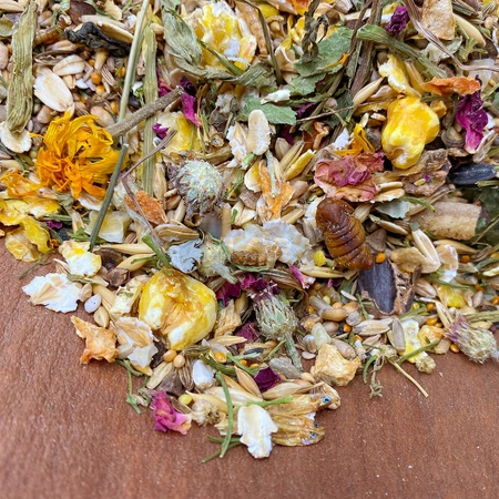 Mixerama Farbratten Bubus Tasty Mischung 500g karma dla dorosłych szczurów o umiarkowanej aktywności